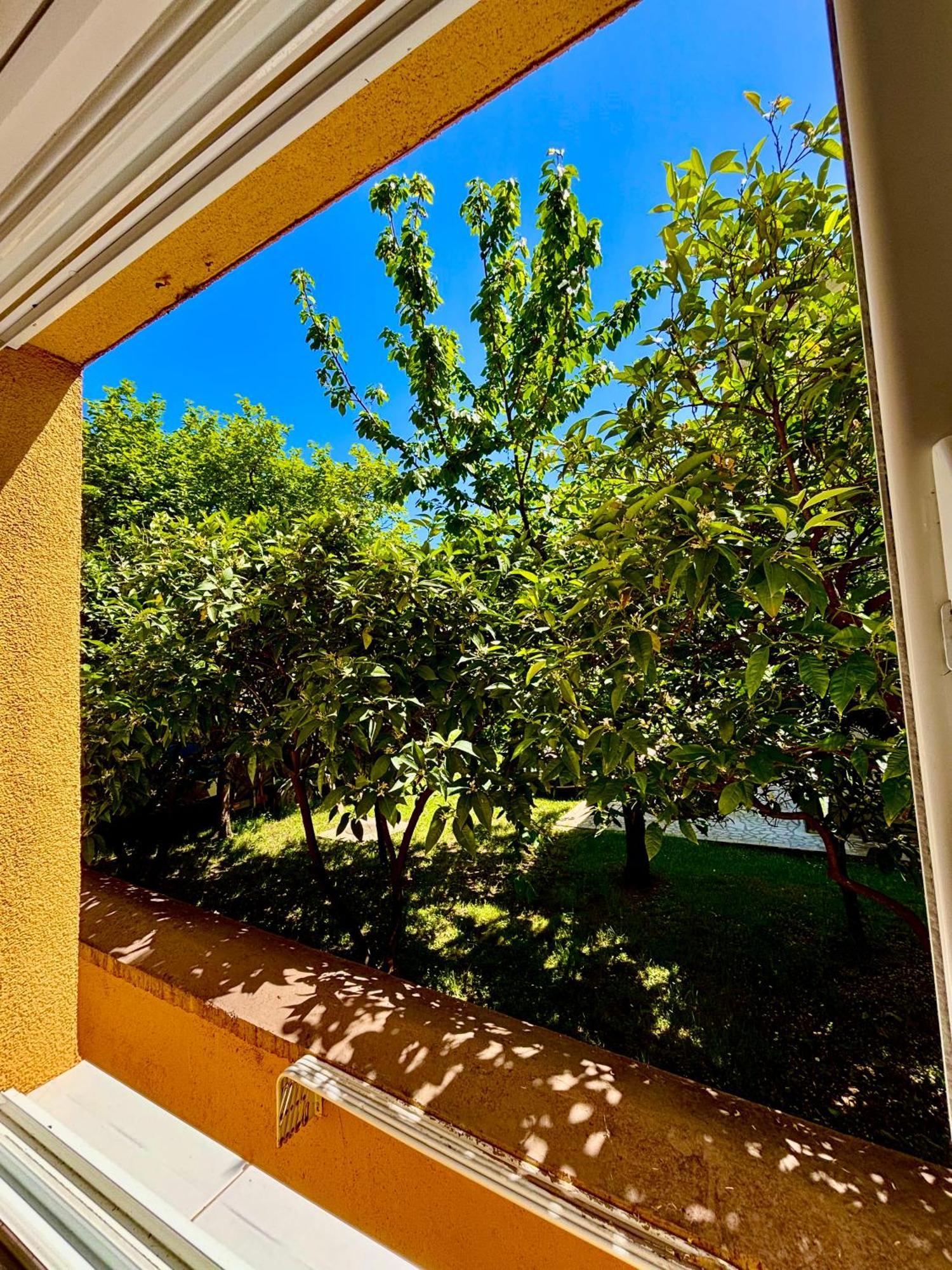 Apartments Ds Club Budva Luaran gambar